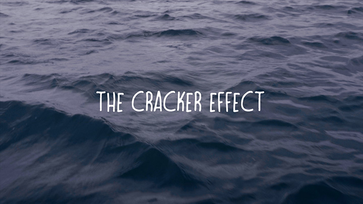 The Cracker Effect (2019)