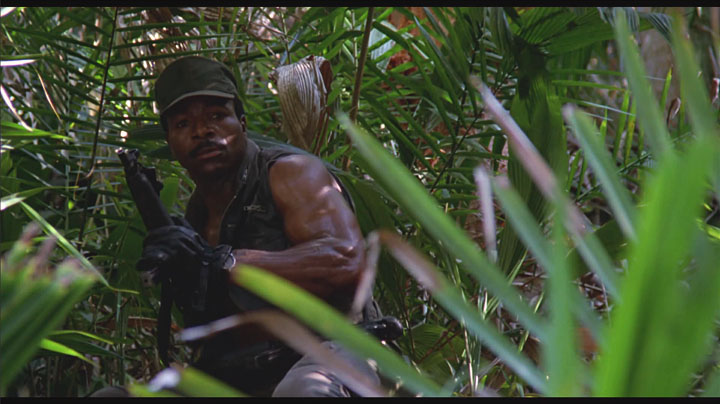 Predator (2018)