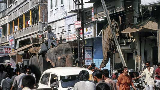 DELHI_106