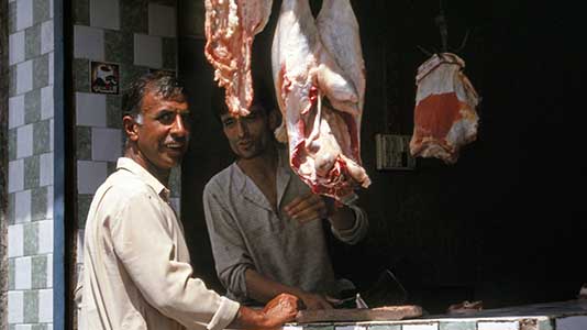 KASHMIR_109