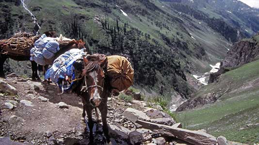 TREK_117