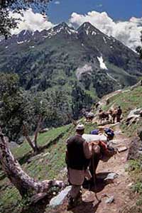 TREK_124