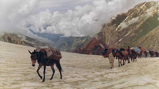 TREK_156